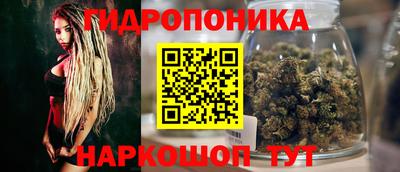стаф Донской