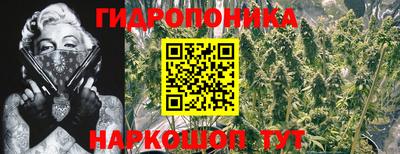 гашиш Дубна