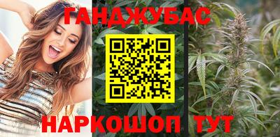 стаф Донской