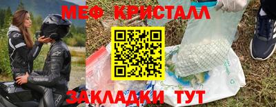 стаф Донской